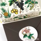 Artikelbild 3 des Artikels “PEPIN Labels, Sticker und Tapes - Flora “