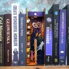 Artikelbild 3 des Artikels “TONECHEER Book Nook - Interstellar “