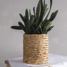 Artikelbild 3 des Artikels “Wasserhyazinthen Band, geflochten, Natur, 1,2 cm x 9,5 Meter “