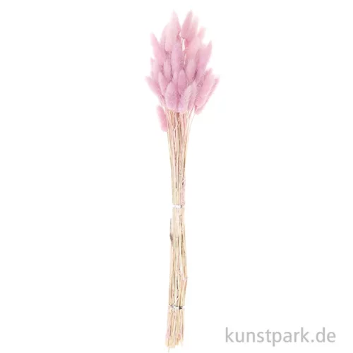 Artikelbild 3 des Artikels “Getrockneter Lagurus, 50 Stück Bund | Flieder“