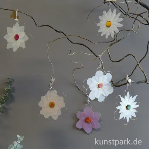 Artikelbild 3 des Artikels “Good old friends - Blütentraum, Rosa, Pompom Senf “