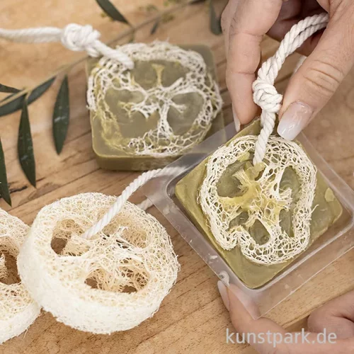 Artikelbild 3 des Artikels “Luffa-Schwamm, Natur, Länge 10 cm, Durchmesser 5,5-8 cm, 2 Stück “