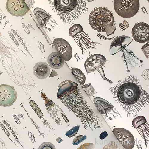 Artikelbild 3 des Artikels “PEPIN Kreativpapier Buch - Marine “