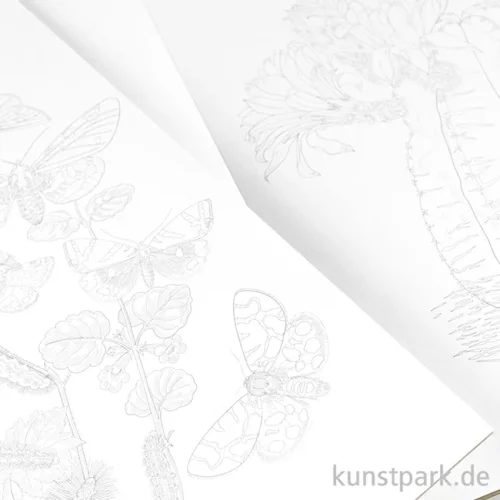 Artikelbild 3 des Artikels “PEPIN Künstler Malbuch - Natural History “