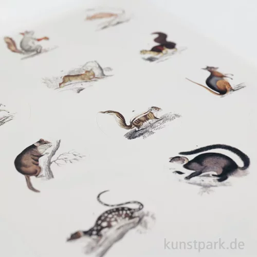 Artikelbild 3 des Artikels “PEPIN Labels, Sticker und Tapes - Fauna “