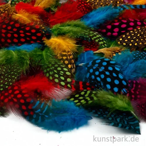 Artikelbild 3 des Artikels “Perlhuhnfedern - bunt, 100 Stück “
