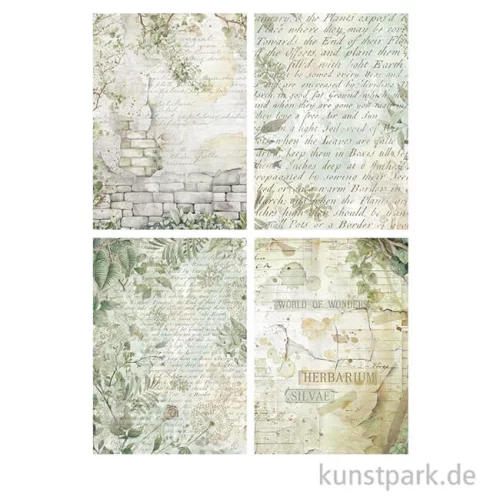 Artikelbild 3 des Artikels “Stamperia Reispapier Selection - Herbarium Silvae Backgrounds, A6 “