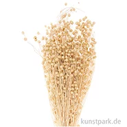 Artikelbild des Artikels “Getrockneter Flachs Natur, 100 g als Bund “
