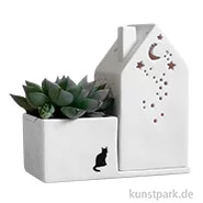 Artikelbild des Artikels “Good old friends - Hausgarten, Katze “