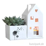 Artikelbild des Artikels “Good old friends - Hausgarten, Pusteblume “