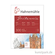 Artikelbild des Artikels “Hahnemühle BRITANNIA Aquarellblock, 12 Blatt, 300g matt 24 x 32 cm“