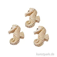Artikelbild des Artikels “Mini Seepferdchen - Natur, 2,5 cm, 3 Stück “
