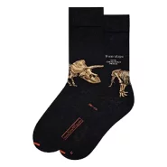 Artikelbild des Artikels “MuseARTa ARTSOX - Kunstsocken, Dinosaurs, Triceratops, 40-46 “