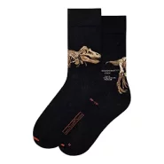 Artikelbild des Artikels “MuseARTa ARTSOX - Kunstsocken, Dinosaurs, Tyrannosaurus Rex, 36-40 “