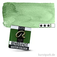 Artikelbild des Artikels “Talens REMBRANDT Aquarellfarben 1/2 Näpfchen | 629 Grüne Erde“