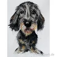 Artikelbild des Artikels “Malkurs - Tiere & Wesen - Dackel - 11.09.26 “
