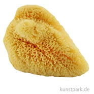 Artikelbild des Artikels “Aquarellschwamm fein 11,0 cm “