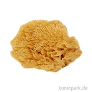 Artikelbild des Artikels “Aquarellschwamm großporig, 8-10 cm “