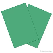 Artikelbild des Artikels “Tonkarton COLORS, 20 Blatt, 180g, DIN A4 DIN A4 | Grasgrün“
