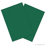 Artikelbild des Artikels “Tonkarton COLORS, 20 Blatt, 180g, DIN A4 DIN A4 | Tannengrün“