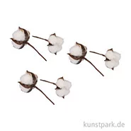 Artikelbild des Artikels “Baumwollblüten, 10 cm, 6 Stück “