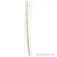 Artikelbild des Artikels “Blumendraht mit grünem Papier ummantelt, 20 Stück, Länge 30 cm “