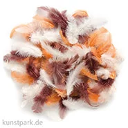 Artikelbild des Artikels “Deco-Federn - Braun, 10g sortiert “