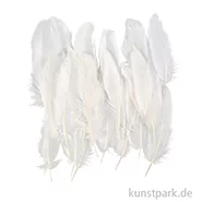 Artikelbild des Artikels “Deko Federn, Weiß, Größe 10 - 18 cm, 70 Stück “