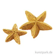 Artikelbild des Artikels “Deko Seestern “