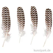 Artikelbild des Artikels “Dekofeder mit Glitterdruck, 17 - 19 cm, 4 Stück Silber“