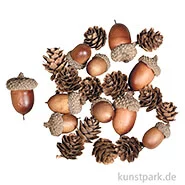 Artikelbild des Artikels “Eichel-Zapfen Mix, sortiert, 2-4 cm, 27 Stück “