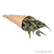 Artikelbild des Artikels “Eukalyptus Bund mit Papiermanschette, 30-35 cm “