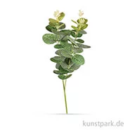 Artikelbild des Artikels “Eukalyptuszweig, 34 cm “
