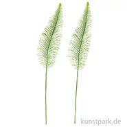 Artikelbild des Artikels “Farn - Groß, 2 Stück “