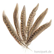 Artikelbild des Artikels “Fasanenfedern, 20 - 25 cm, 12 Stück “