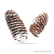 Artikelbild des Artikels “Fichtenzapfen 6 - 8 cm, 50g “