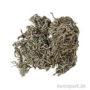 Artikelbild des Artikels “Flechten Moos, Grün, 20g “