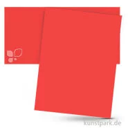 Artikelbild des Artikels “Fotokarton 50x70 cm, 10 Bogen, 300g Farbe | Hibiscus“