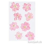 Artikelbild des Artikels “Gepresste Blüten - Rittersporn Rosa, 8 Stück “