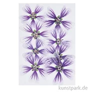 Artikelbild des Artikels “Gepresste Blüten - Stockrose Violett, 8 Stück “