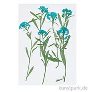 Artikelbild des Artikels “Gepresste Blüten - Strand-Silberkraut Blau, 6 Stück “