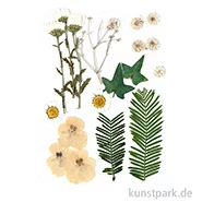 Artikelbild des Artikels “Gepresste Blüten und Blätter - Naturweiß “
