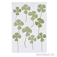 Artikelbild des Artikels “Gepresste Pflanzen - Vierblättriges Kleeblatt, 10 Stück “