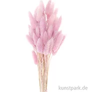 Artikelbild des Artikels “Getrockneter Lagurus, 50 Stück Bund | Flieder“
