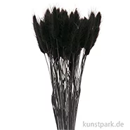 Artikelbild des Artikels “Getrockneter Lagurus, 50 Stück Bund | Schwarz“