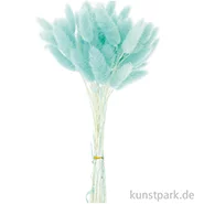 Artikelbild des Artikels “Getrockneter Lagurus, 50 Stück Bund | Türkis“