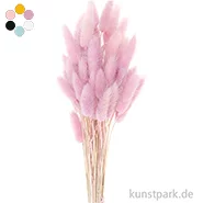 Artikelbild des Artikels “Getrockneter Lagurus, 50 Stück “