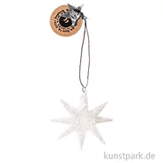 Artikelbild des Artikels “Good old friends - Capizstern, Silber, Schnee, Zweig “