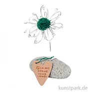 Artikelbild des Artikels “Good old friends - Glücksblume, Stein Petrol “