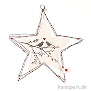 Artikelbild des Artikels “Good old friends - Große Schmucksterne, Wintervögel “